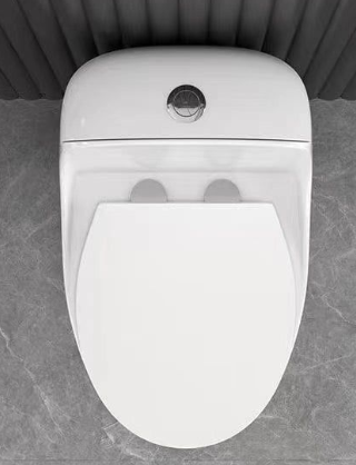 Bồn cầu liền khối Dosho DS - 9888