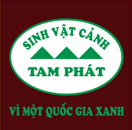 Sinh vật cảnh Tam Phát